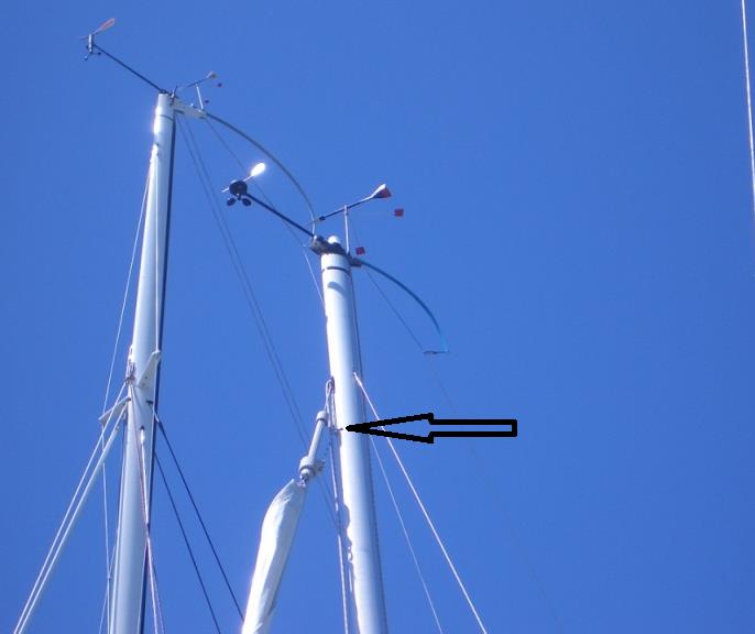 [Immagine: 20121127111343_albero first.jpg]